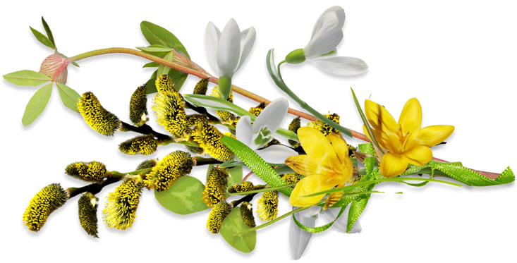 spring