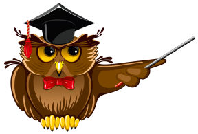 owl